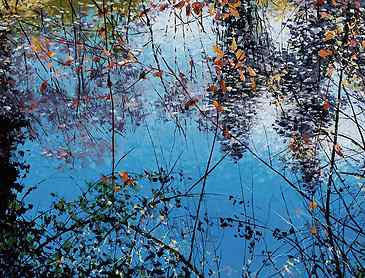 Fall Scattering, 2019, 30" x 40", acrylic on canvas