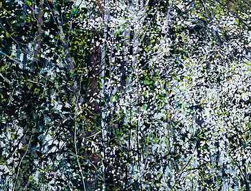 Woodland Bloom, 2019, 48" x 36", acrylic on canvas
