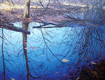 Autumn Reflected, 2009, 30" x 36", acrylic on canvas, SOLD