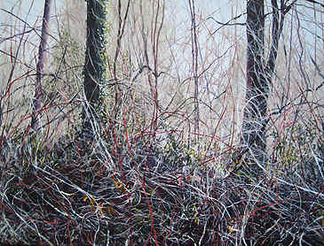 Brambles, 2011, 16" x 20", acrylic on canvas