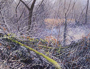 Creek Side Tangle, 2011, 30" x 36", acrylic on canvas, SOLD