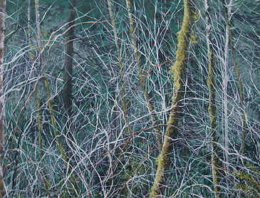 Entanglement, 2012, 16" x 20", acrylic on canvas