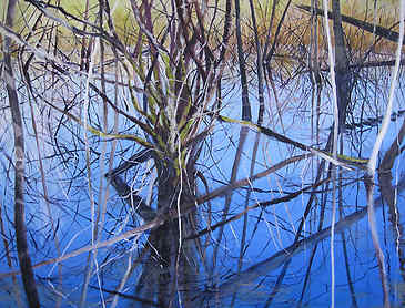Estuary Tangle, 2011, 36" x 48", acrylic on canvas