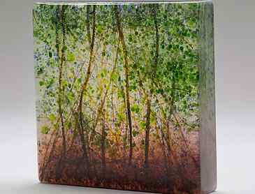 Evening Woods, 2020, 6" x 6" x 1&frac14;", kiln-formed glass, SOLD