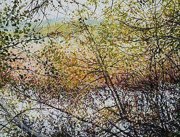 Fall Tangle in the Estuary, 2016, 30" x 40", acrylic on canvas