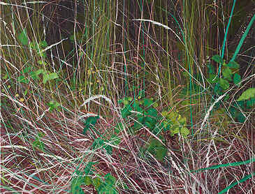 Grasses, 2022, 48" x 36", acrylic on canvas