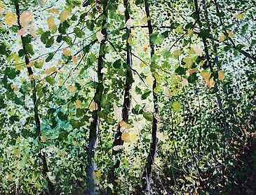 Light Through the Alders, 2018, 30" x 40", acrylic on canvas, SOLD