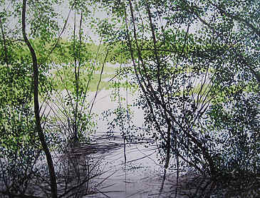 Marshland View, 2013, 16" x 20", acrylic on canvas