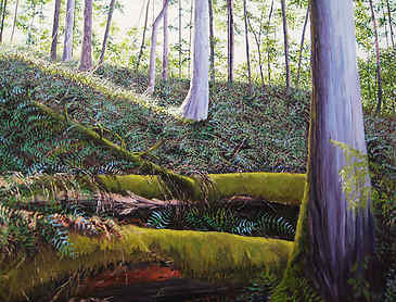Old Growth Trail, 2010, 36" x 48", acrylic on canvas