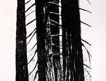 Spines and Ribs, 2006, 8&frac12;" x 5", lithograph