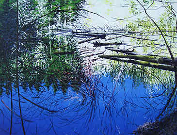 Spring Reflection, 2009, 30" x 36", acrylic on canvas, SOLD