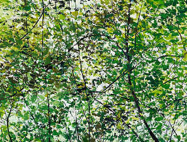 The Scent of Green, 2024, 18" x 36", acrylic on canvas