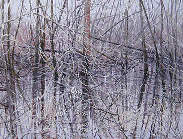 Winter Estuary, 2011, 16" x 20", acrylic on canvas, SOLD