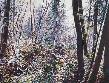 Winter Illumination, 2009, 18" x 24", acrylic on canvas, SOLD