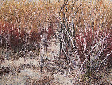 Year&#39;s End at Oaks Bottom, 2010, 36" x 48", acrylic on canvas, SOLD